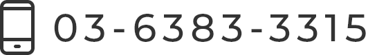 03-6383-3315